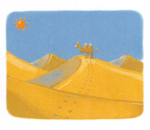 dune