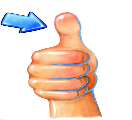 thumb